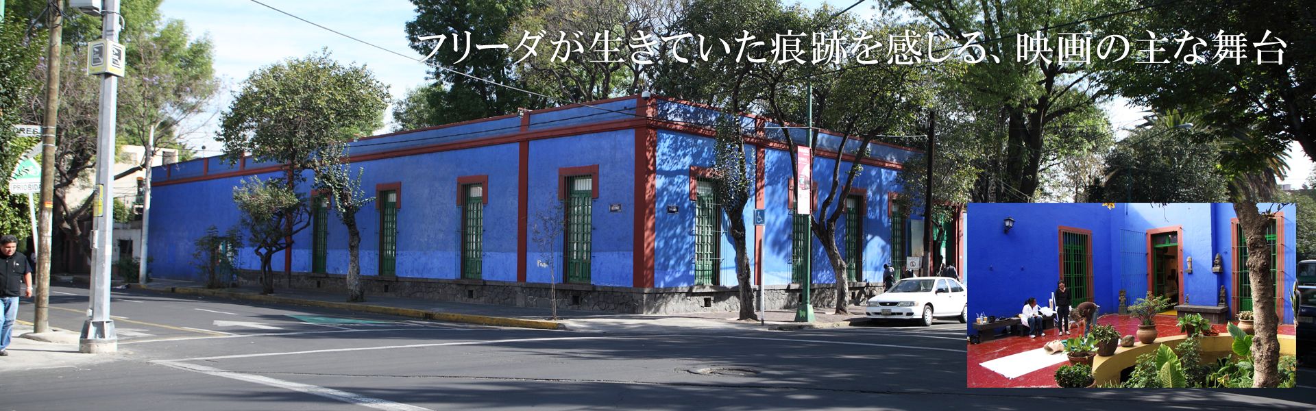 Documentary featurefilm The Legacy of  Frida Kahlo directed by Tadasuke KOTANI